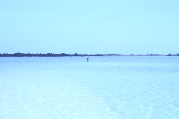 Bonefishing in a tropical lagoon.�@Belize.