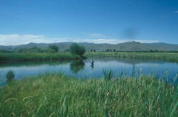 A fly fisherman.�@Silver Creek, Idaho, U.S.A.