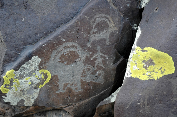 Ancient Drawing in Mongolia