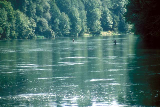 RiverTraun1