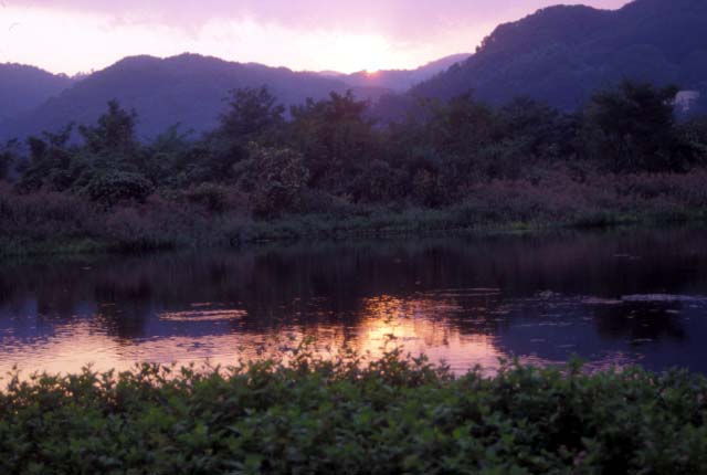 Sagamigawa River, Japan.�@The author's hometown river.