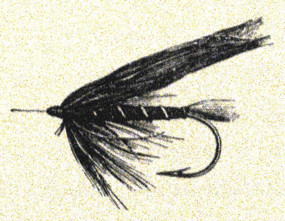 Black Spider, Stewart