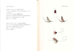 クリックして拡大画像へ