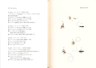 クリックして拡大画像へ